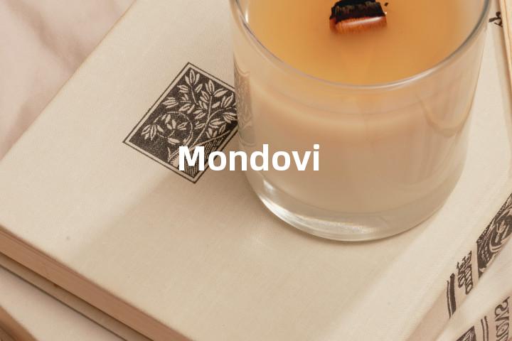 Mondovi单词图解，单词释义场景配图