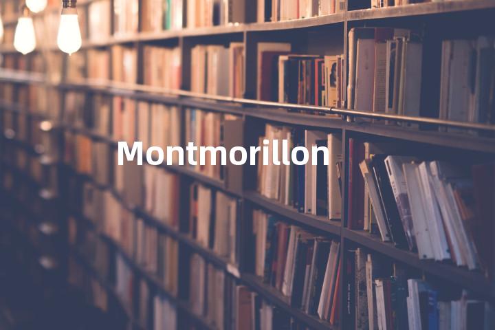 Montmorillon单词图解，单词释义场景配图