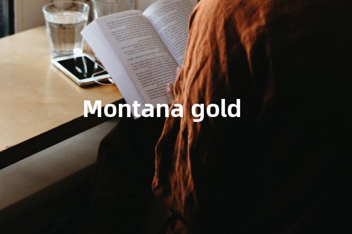 Montana gold单词图解，单词释义场景配图
