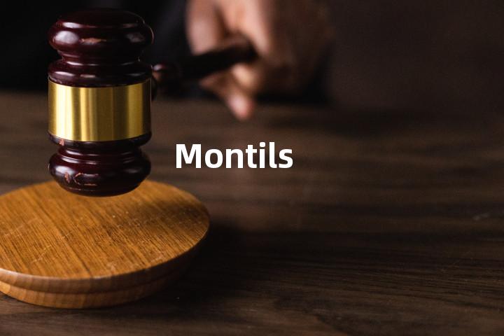 Montils单词图解，单词释义场景配图