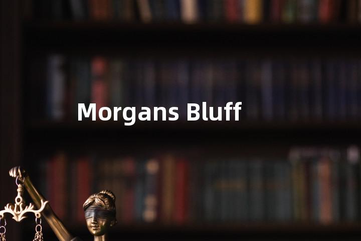 Morgans Bluff单词图解，单词释义场景配图