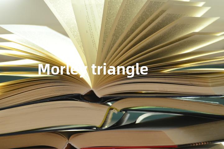 Morley triangle单词图解，单词释义场景配图