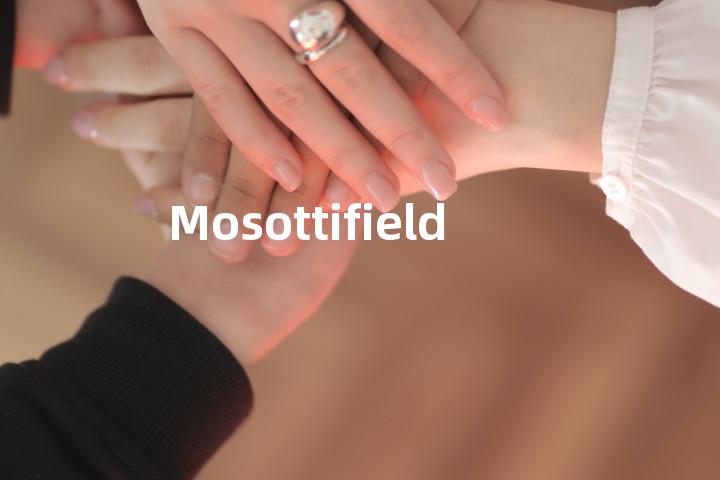 Mosottifield单词图解，单词释义场景配图