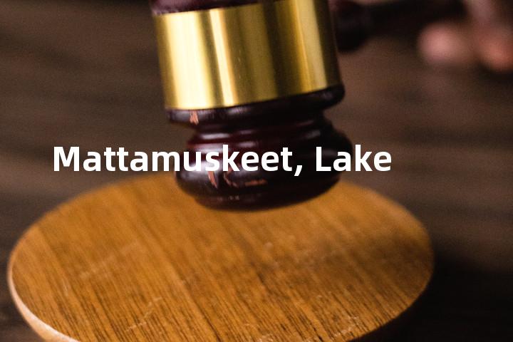 Mattamuskeet, Lake单词图解，单词释义场景配图