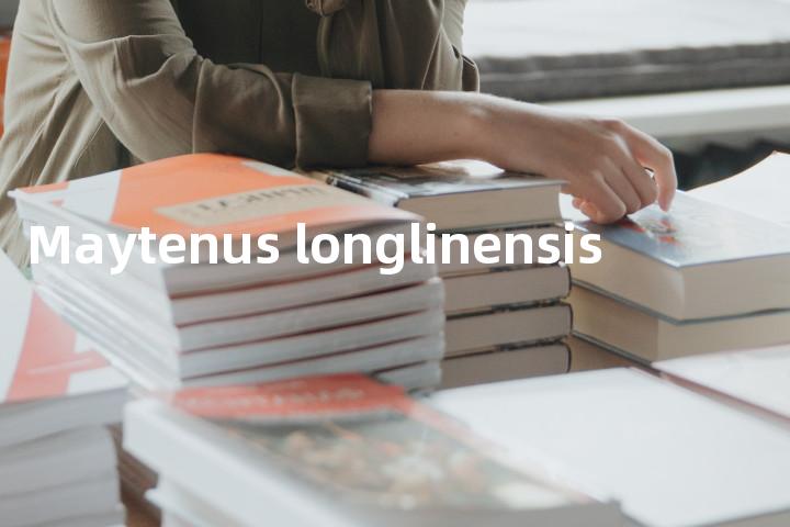 Maytenus longlinensis单词图解，单词释义场景配图