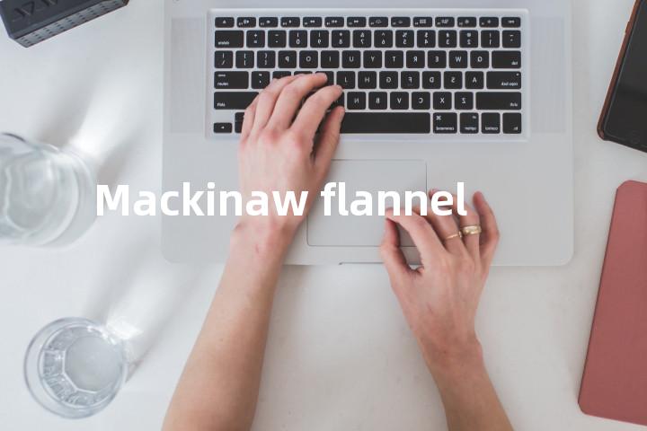 Mackinaw flannel单词图解，单词释义场景配图