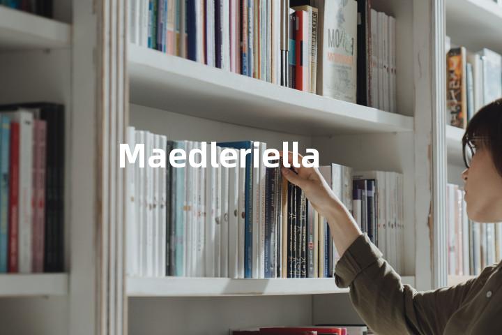 Maedleriella单词图解，单词释义场景配图