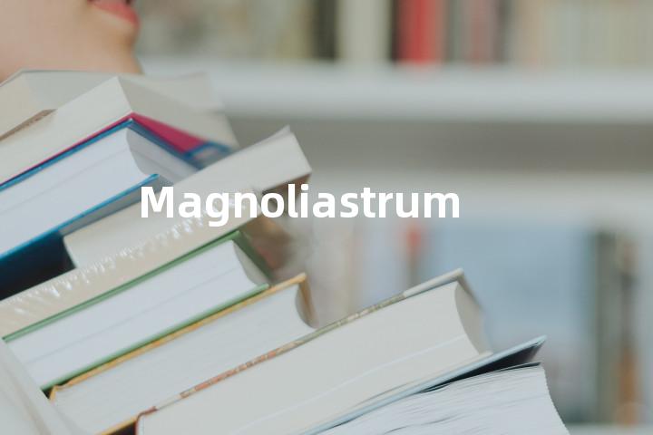 Magnoliastrum单词图解，单词释义场景配图