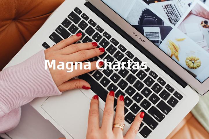 Magna Chartas单词图解，单词释义场景配图