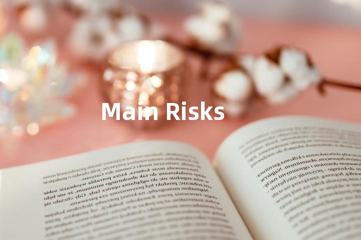 Main Risks单词图解，单词释义场景配图