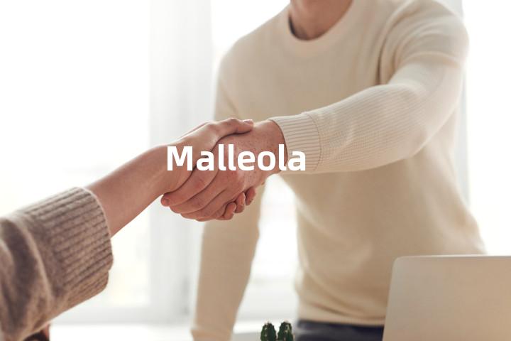 Malleola单词图解，单词释义场景配图
