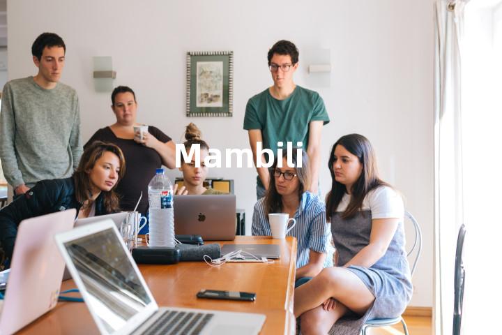 Mambili单词图解，单词释义场景配图