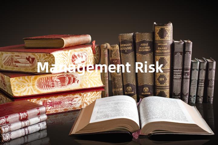Management Risk单词图解，单词释义场景配图