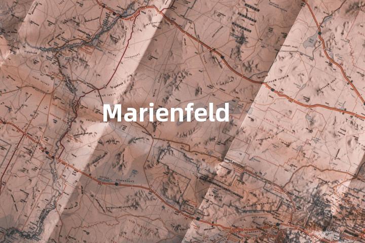 Marienfeld单词图解，单词释义场景配图