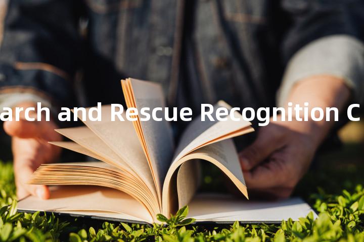 Maritime Search and Rescue Recognition Code单词图解，单词释义场景配图