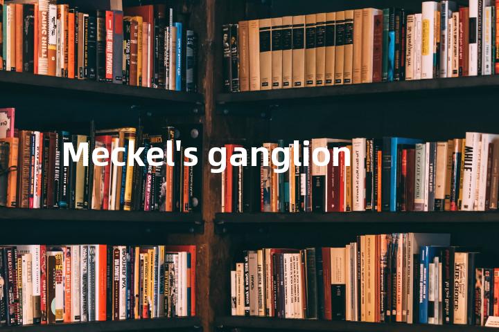 Meckel's ganglion单词图解，单词释义场景配图