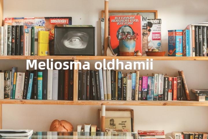 Meliosma oldhamii单词图解，单词释义场景配图