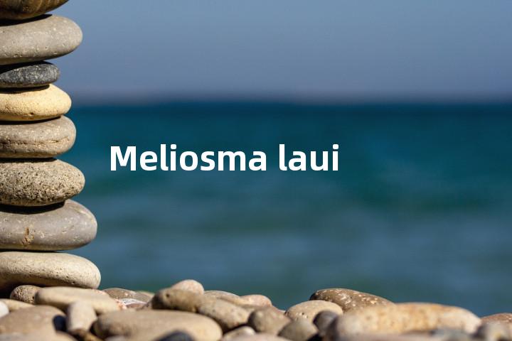 Meliosma laui单词图解，单词释义场景配图