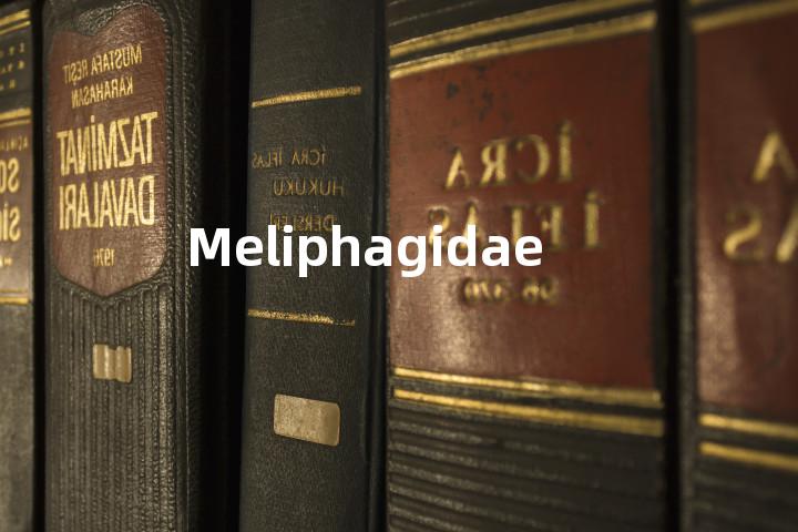 Meliphagidae单词图解，单词释义场景配图