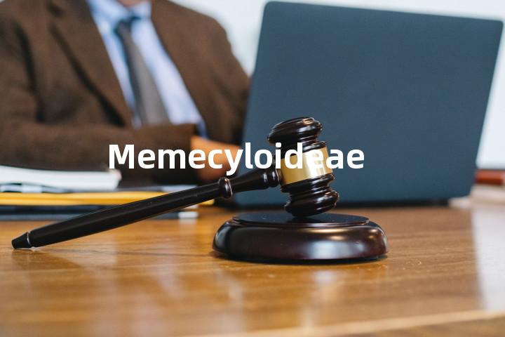 Memecyloideae单词图解，单词释义场景配图