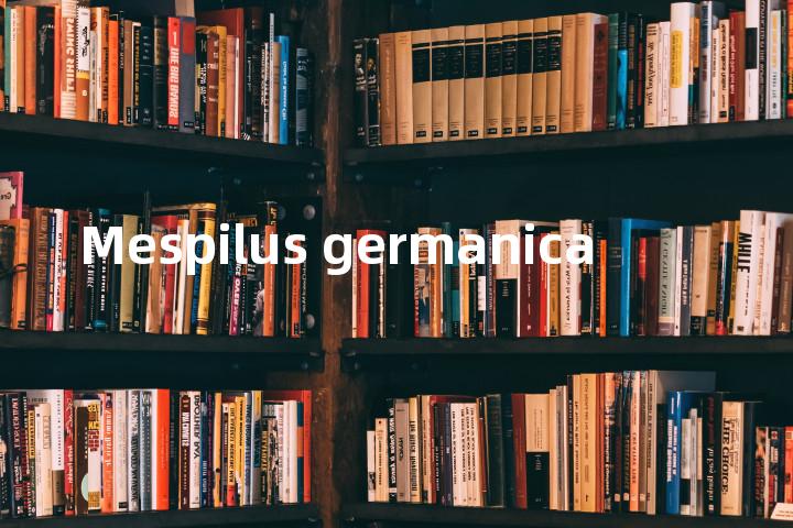 Mespilus germanica单词图解，单词释义场景配图