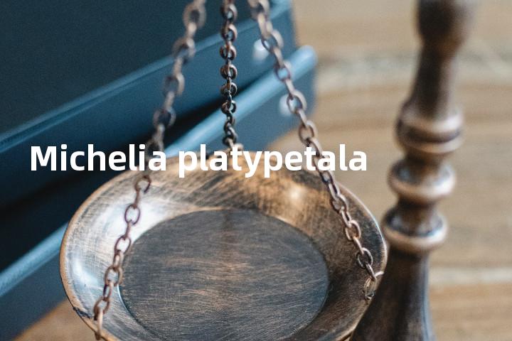 Michelia platypetala单词图解，单词释义场景配图