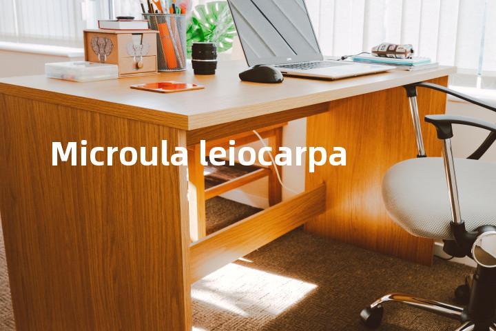 Microula leiocarpa单词图解，单词释义场景配图