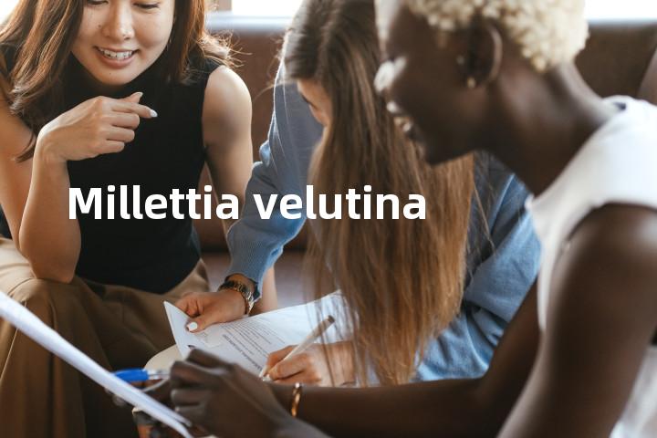 Millettia velutina单词图解，单词释义场景配图