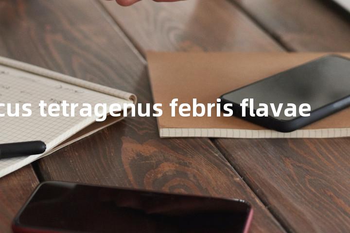 Mlicrococcus tetragenus febris flavae单词图解，单词释义场景配图