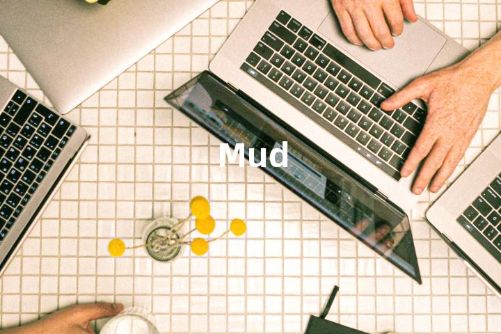 Mud