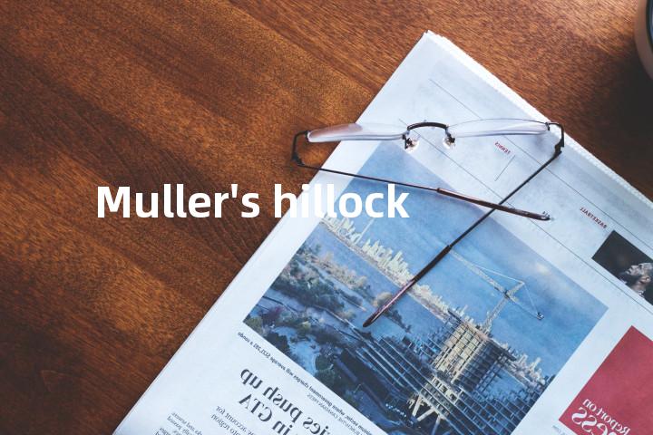 Muller's hillock单词图解，单词释义场景配图