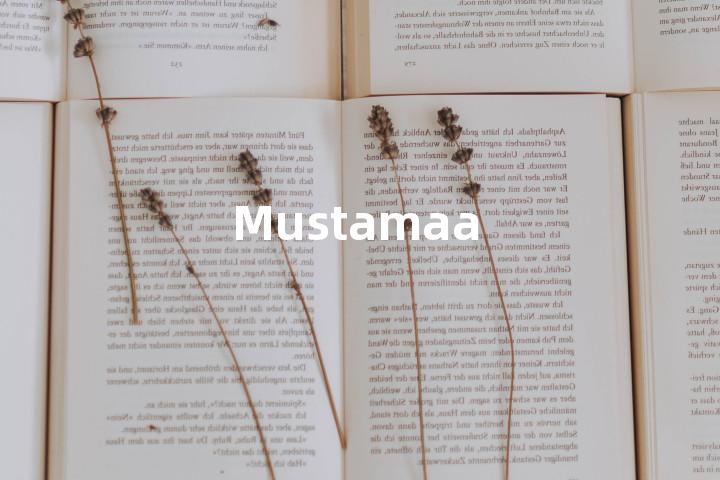 Mustamaa单词图解，单词释义场景配图