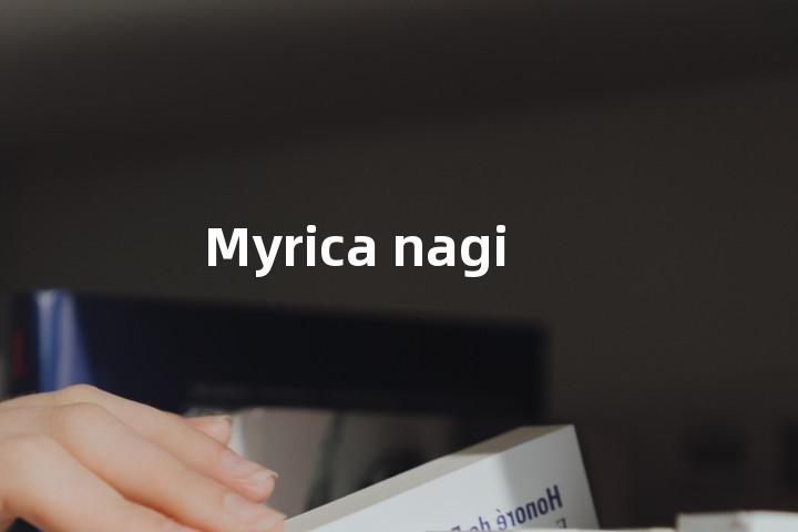 Myrica nagi单词图解，单词释义场景配图