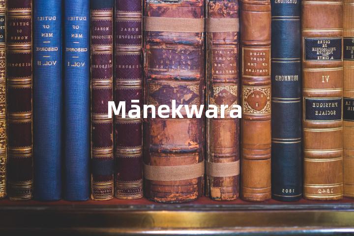 Mānekwara单词图解，单词释义场景配图