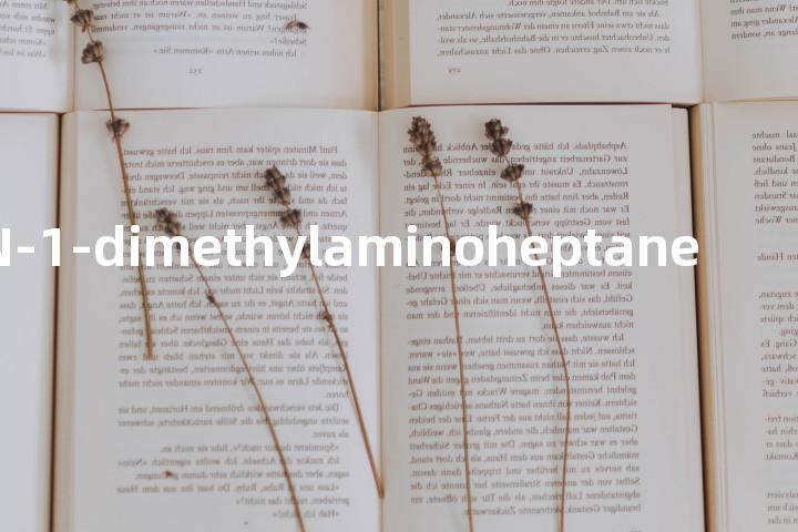N-1-dimethylaminoheptane单词图解，单词释义场景配图