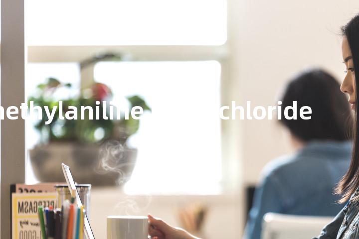 N-dimethylaniline hydrochloride单词图解，单词释义场景配图