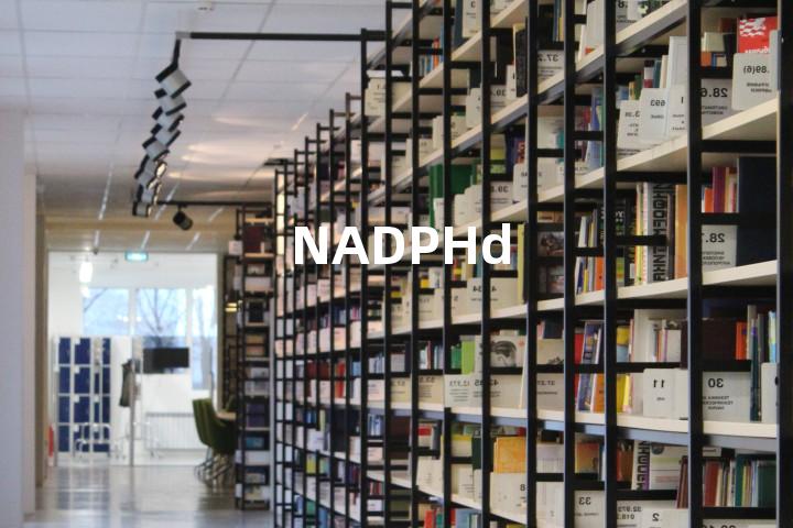 NADPHd单词图解，单词释义场景配图