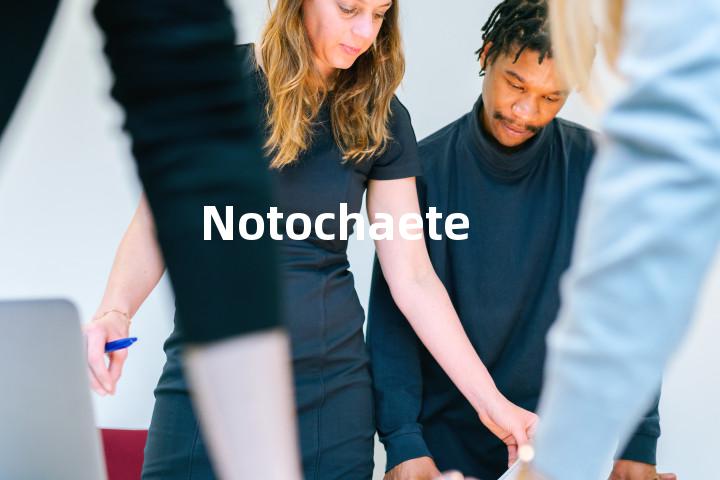 Notochaete单词图解，单词释义场景配图