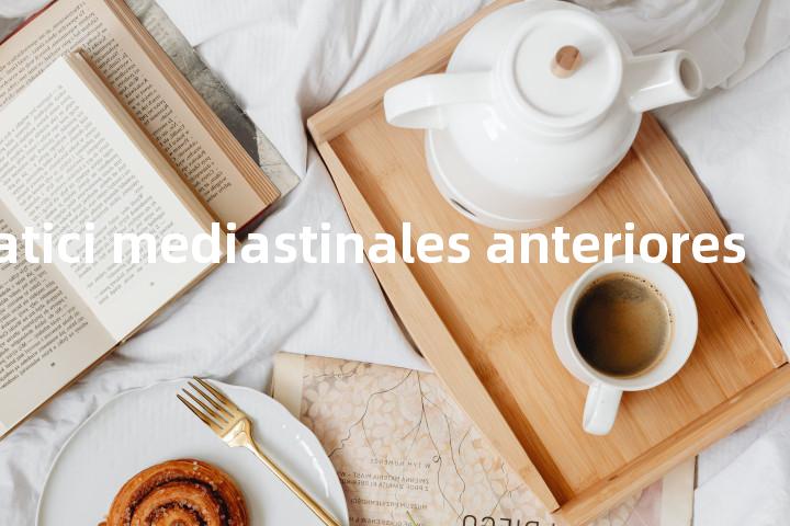 Nodi lymphatici mediastinales anteriores单词图解，单词释义场景配图