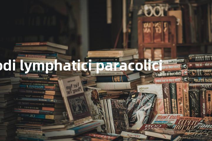 Nodi lymphatici paracolici单词图解，单词释义场景配图