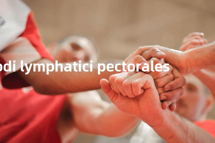 Nodi lymphatici pectorales单词图解，单词释义场景配图