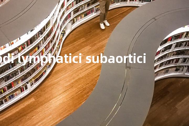 Nodi lymphatici subaortici单词图解，单词释义场景配图
