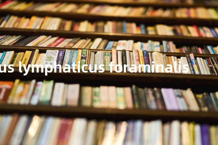 Nodus lymphaticus foraminalis单词图解，单词释义场景配图
