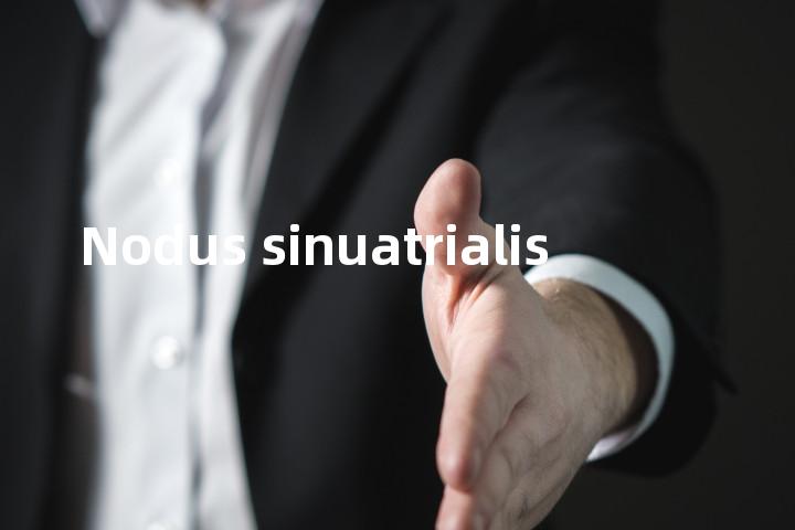 Nodus sinuatrialis单词图解，单词释义场景配图