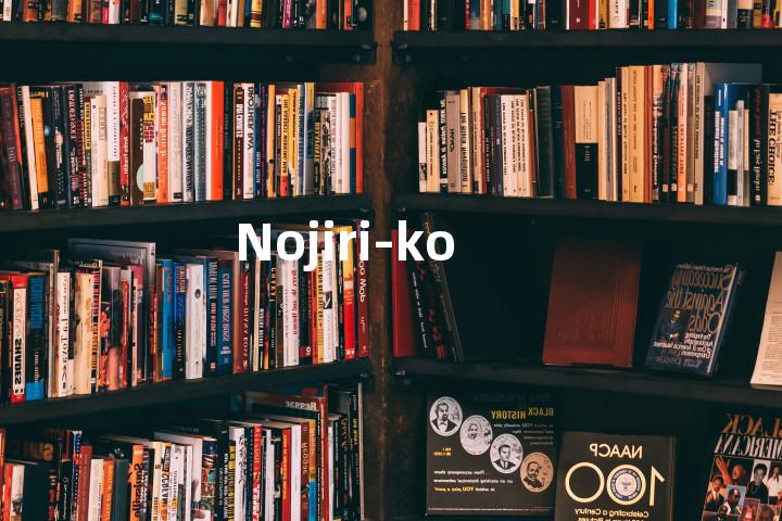 Nojiri-ko单词图解，单词释义场景配图