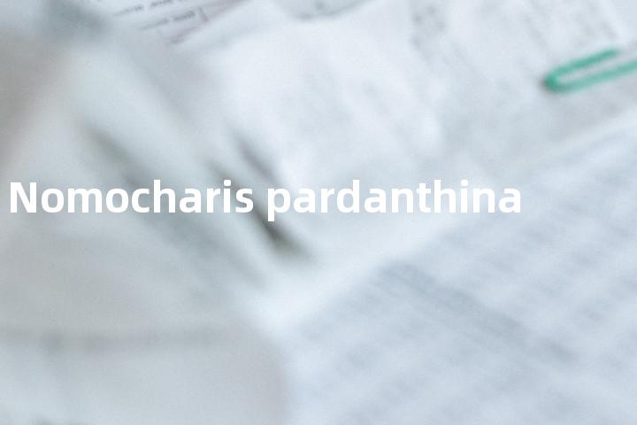 Nomocharis pardanthina单词图解，单词释义场景配图
