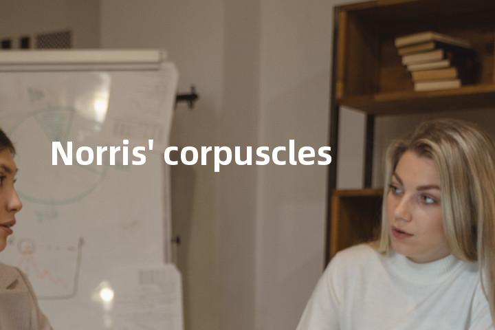 Norris' corpuscles单词图解，单词释义场景配图