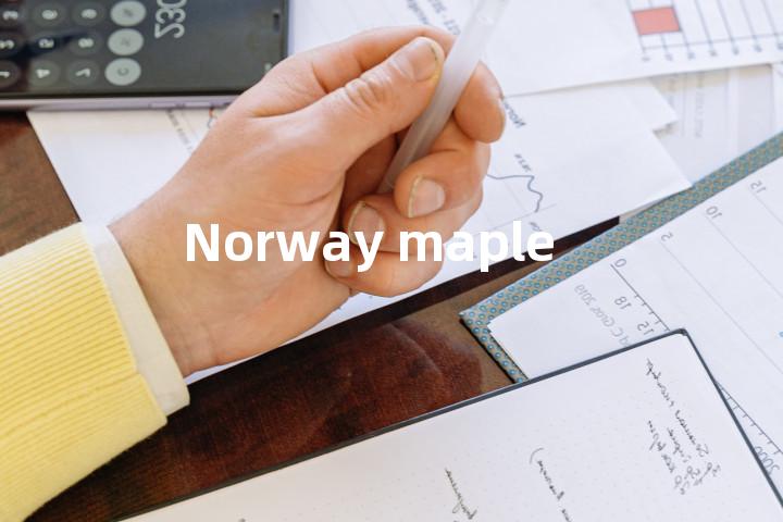 Norway maple单词图解，单词释义场景配图