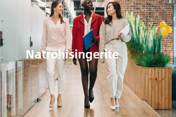 Natrohisingerite单词图解，单词释义场景配图