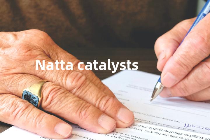 Natta catalysts单词图解，单词释义场景配图